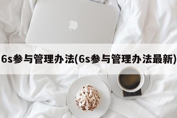 6s参与管理办法(6s参与管理办法最新)